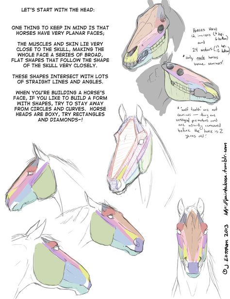 Person On A Horse Reference, Drawings Of Horses, Reference Tutorial, Horse Drawing Tutorial, Clay Horse, Drawing Horses, Animal Skeleton, Horse Reference, Horse Art Drawing