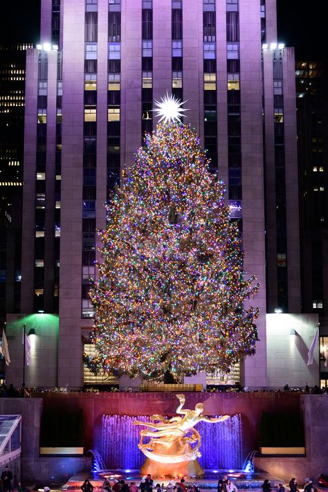 Rockerfella Christmas Tree Pictures, Rockerfella Christmas Tree, Rockerfeller Christmas Tree, Christmas Tree Nyc, Rockefeller Christmas Tree, New York Noel, National Christmas Tree, Big Decorations, Rockefeller Center Christmas Tree