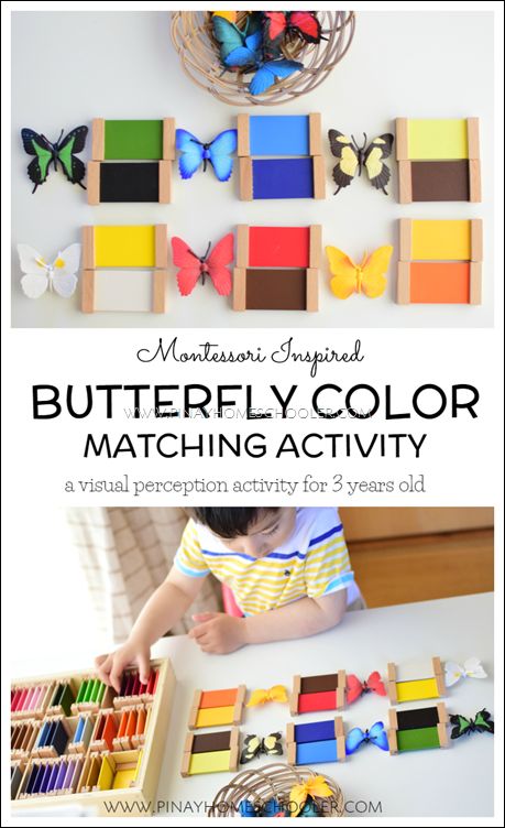 Montessori butterfly color matching activity for toddlers and preschoolers Butterflies Activities, Montessori Color, Maluchy Montessori, Montessori Lessons, Montessori Diy, Butterfly Coloring, Activity For Toddlers, Montessori Art, Montessori Homeschool