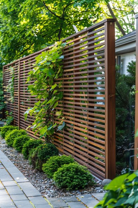 Backyard Privacy Ideas: Creating Secluded Spaces - Quiet Minimal Back Garden Wall Ideas, Living Screens Garden, Backyard Partition Wall, Small Backyard Ideas Privacy, Hedging Ideas Privacy, Louvered Fence Privacy Screens, Japanese Trellis Ideas, Privacy Garden Screens, Bougainvillea Privacy Wall