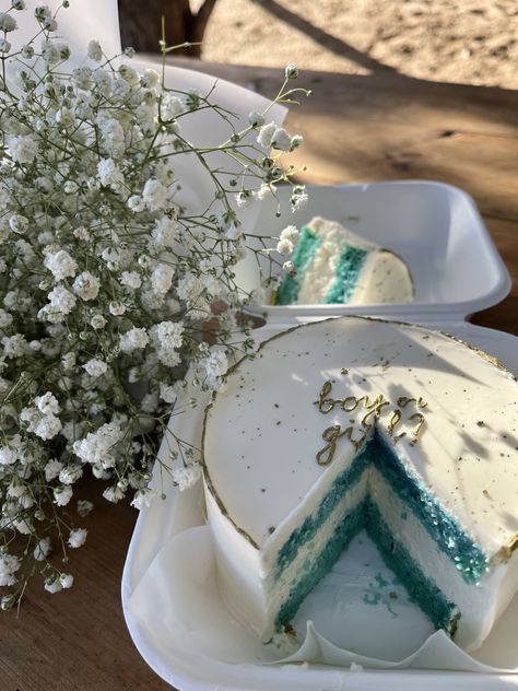 Cake Gender Reveal Simple, Cold Gender Reveal Ideas, Simple Gender Reveal Photoshoot, Aesthetic Gender Reveal Cake, Gender Reveal Cake Aesthetic, Gender Reveal Just For Husband And Wife, Lowkey Gender Reveal, Cake Reveal Gender Ideas, Baby Announcement Cake Ideas