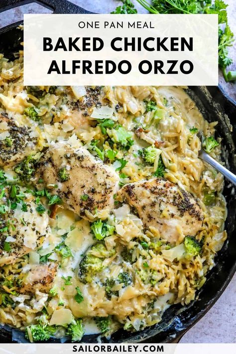 Baked Chicken Alfredo Orzo is the perfect weeknight meal. It's savory, creamy and full of parmesan flavor. Everything is baked in one pan! via @sailor_bailey Alfredo Orzo Recipes, Baked Chicken And Orzo, Alfredo Orzo, Chicken Orzo Bake, Orzo Broccoli, Orzo Easy, Baked Chicken Alfredo, Orzo Bake, Orzo Pasta Recipes