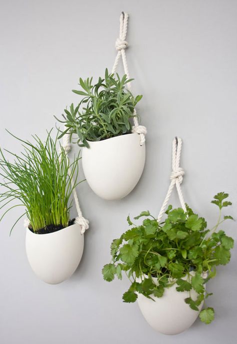 Vertical Kitchen Gardening Inspiration Wall Mounted Plant Holder, Indoor Plant Wall, Wall Mounted Planters, Contemporary Planters, Plant Wall Decor, Porcelain Planter, Plants Decor, Indoor Herb Garden, Herbs Indoors