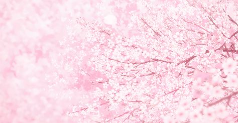 Gif Pink Wallpaper, Pink Gif Aesthetic, Header Gif Aesthetic, Pink Gif Wallpaper, Pink Gif Wallpaper Pc, Cute Core Background, High Quality Header, Cute Pink Header, Cute Pink Gif Banner