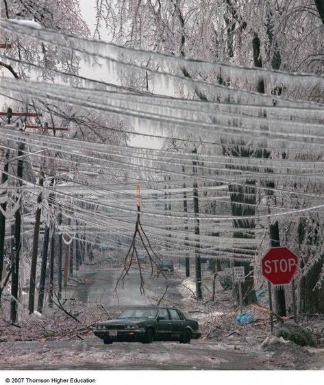 freezing rain, notice how I didnt put this under pretty scenery... Power Outage Tips, Freezing Rain, Winter Survival, Ice Storm, Power Outage, Snow And Ice, Winter Wonder, Off Grid Living, Survival Prepping