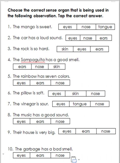 Sense Organs Worksheets, Sense Organs, Worksheet For Class 2, Worksheets For Class 1, Biology Worksheet, Teaching College, Sight Word Worksheets, 1st Grade Worksheets, Teaching Phonics