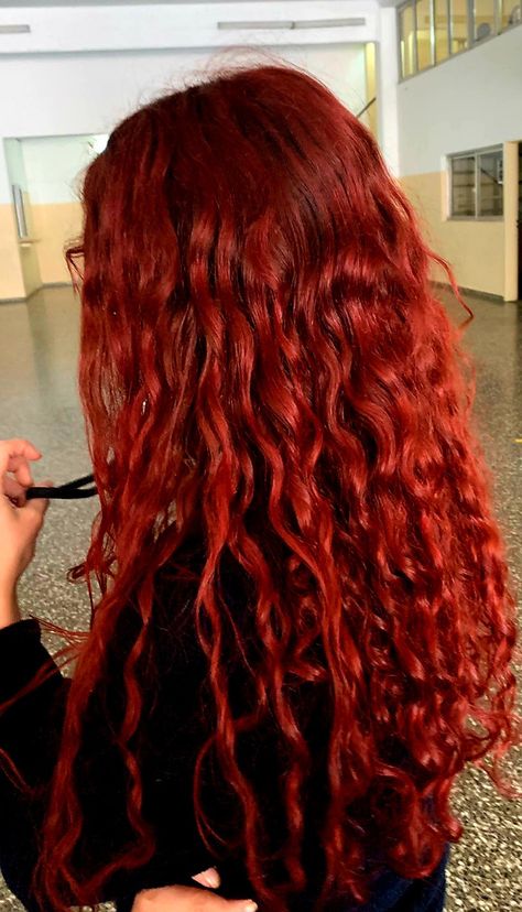 Sad bitch with red hair ☆☆☆ Curly Cherry Red Hair, Red Curly Hair Aesthetic, Long Wavy Red Hair, Long Red Curly Hair, Big Red Hair, Red Wavy Hair, Curly Red Hair, Fiery Red Hair, Red Hair Looks