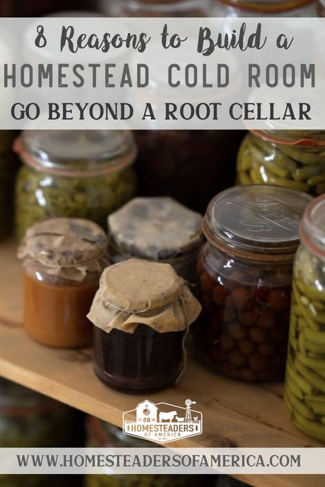 Basement Cold Room Food Storage, Root Cellar Interior, Basement Cold Room, Above Ground Cold Storage, Digging A Root Cellar, Homestead Root Cellar, Build A Root Cellar Diy, Basement Root Cellar Ideas, Large Root Cellar