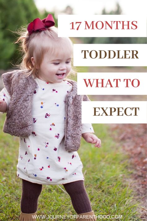 what to expect with a 17 month old toddler - developmental milestones for this age during the 2nd year of life. #toddlerlife #toddlerdevelopment 17 Month Old Milestones, Developmental Milestones Toddlers, Toddler Milestones, Development Milestones, Expect The Unexpected, Developmental Milestones, Toddler Development, 2nd Year, Baby Prep