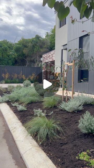 PERTH LANDSCAPER on Instagram: "Alleyway front yard/back yard low maintenance coastal native vibes 👌🏽 . . Design @bonniestaceylandscapes  Landscaping @bruce_landscapes  . . #landscaping #diy #coastalstyle #nativeplants #garden #instagram #instagood #fyp #trending #beautiful" Coastal Front Yard, Coastal Front Yard Landscaping, Landscaping Diy, Front Gardens, Backyard Diy Projects, 15 Diy, Coastal Landscape, Backyard Projects, Landscape Ideas