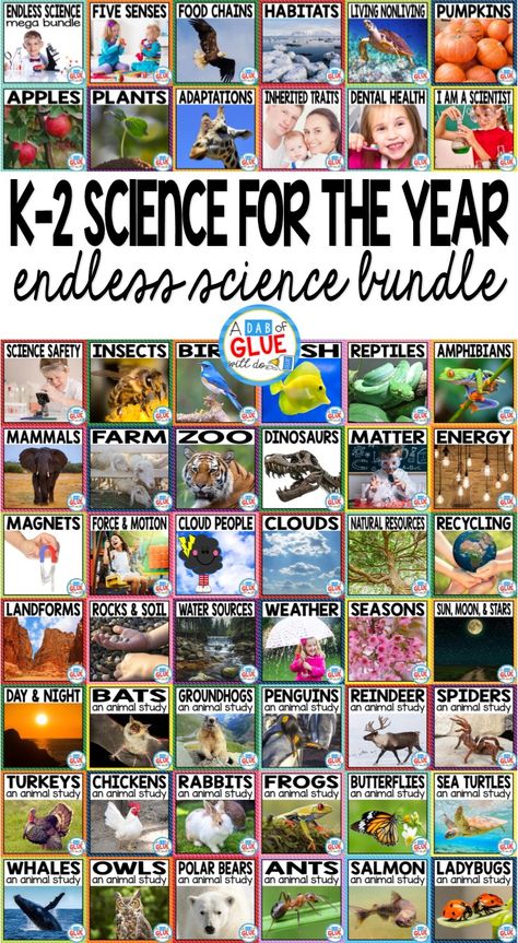 Engage your class in an exciting hands-on experience learning all about science! Endless Science Mega {Growing} Bundle is perfect for science in Preschool, Pre-K, Kindergarten, First Grade, and Second Grade classrooms and packed full of inviting science activities. Excite your learners with the study of Life Science, Physical Science, Earth Science, and Animal Studies. These studies are perfect for any time of the year. This is a GROWING SCIENCE BUNDLE that will have your students learning all a Science Safety, Science Unit Studies, Second Grade Science, 1st Grade Science, First Grade Science, Science Lesson Plans, About Science, Science Topics, Kindergarten Science