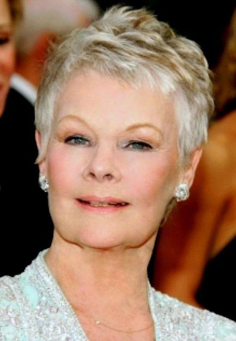 Judy Dench Hair, Judy Dench, Cool Haircuts For Women, Messy Bob Hairstyles, Edgy Haircuts, Judi Dench, Bob Haircut For Fine Hair, Short Grey Hair, Pixie Hair