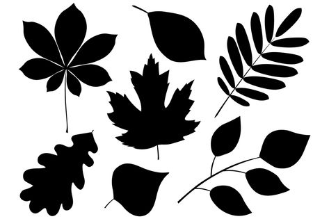 Silhouette Leaves, Leaves Silhouette, Black Stencil, Leaf Vector, Vector Graphics Illustrations, Cricut Svg Files Free, Silhouette Curio, Leaf Silhouette, Leaf Stencil