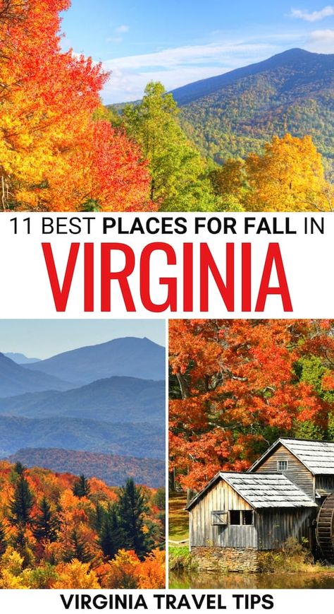 Things To Do In Virginia, Virginia Fall, Fall Road Trip, Virginia Travel, Usa Travel Guide, Usa Travel Destinations, Fall Travel, North America Travel, Road Trip Usa