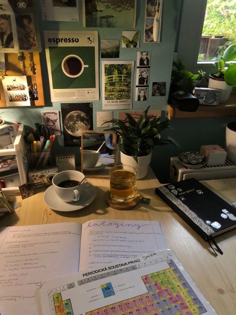 ig @its.alllieee | #aesthetic #study #chemistry #studying #autumn #coffee #greentea #roominspo #kpop Scientist Room Aesthetic, Chemistry Academia, Studying Chemistry Aesthetic, Meteorologist Aesthetic, Chemist Aesthetic, Romanticing School, Bio Chemistry, Chemistry Jobs, Chemistry Aesthetic