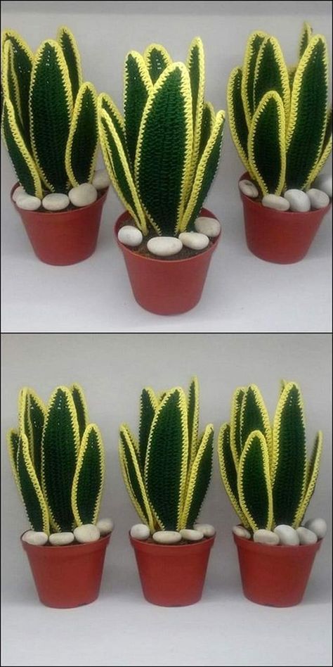 Cactus En Crochet, Pot Crochet, Crochet Succulent, Crochet Garden, Confection Au Crochet, Crochet Flowers Free Pattern, Crochet Cactus, Crochet Toddler, Crochet Plant