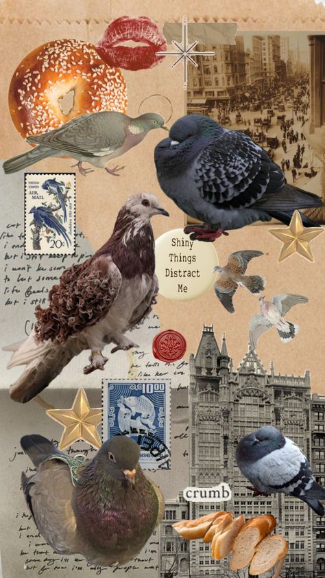 #pigeons #pigeon #nyc Baby Pigeon, App Covers, Cute Backgrounds, Little Birds, Cute Wallpaper Backgrounds, Vintage Wallpaper, Screen Savers, Phone Backgrounds, Pigeon