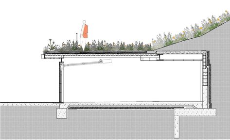 garagesection3 copy_INV Green Roof Construction Detail, Green Roof Drawing, Green Roof Detail, Green Roof Architecture, Hillside Pool, Green Roof Design, Green Roof House, Green Roof System, Casa Hobbit