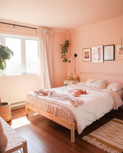 Peach Bedroom Ideas, Peach Bedroom, Coral Room, Coral Bedroom, Monochrome Bedroom, Living Room Wall Color, Room Wall Colors, Simple Bedroom Design, Pink Paradise