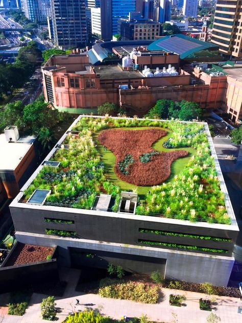 Útiles en verano y en invierno, los tejados verdes reducen el riesgo de inundaciones. Apartment Rooftop, Green Roof Design, Environmental Architecture, Green Roof System, Roof Gardens, Urban Heat Island, Green Facade, Green Roofs, Urban Landscape Design