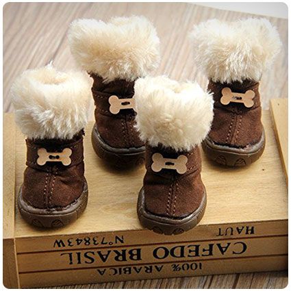 Colorfulhouse Cute Bone Pet Snow Boots Dog Winter Boots, Dog Snow Boots, Snow Puppy, Dachshund Colors, Puppy Shoes, Poodle Toy, Dogs Grooming, Dog Weight, Warm Snow Boots