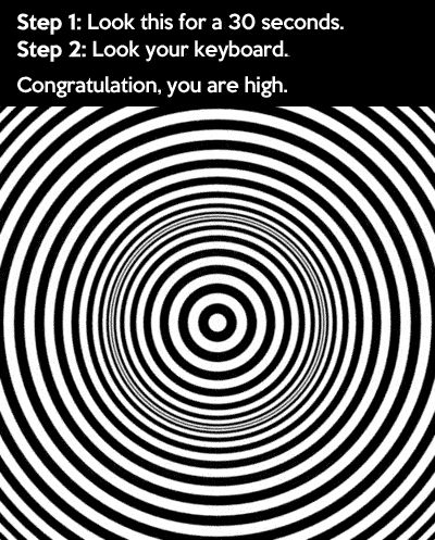 Congratulations, you are high! Trippy Stuff, Beste Gif, Eye Tricks, Cool Illusions, Cool Optical Illusions, Totally Me, Mind Tricks, Komik Internet Fenomenleri, Brain Teasers