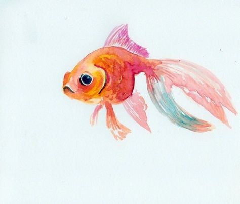 Catherine Rayner, Drawing Fish, Goldfish Art, Watercolor Fish, Soyut Sanat Tabloları, Watercolor Paintings Easy, Watercolor Art Lessons, Arte Inspo, Easy Watercolor