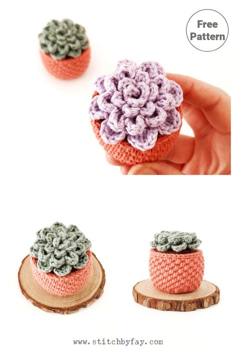 Succulent Planter Free Crochet Pattern Crochet Small Potted Plants, Crochet Cactus In Pot Free Pattern, Small Flower Pot Crochet Pattern, House Plant Crochet Pattern, Easy Crochet Succulent Pattern Free, Crochet Pot Plants Free Pattern, Crochet Mini Succulent, Succulent Crochet Pattern Free, Small Crochet Plant Pattern Free