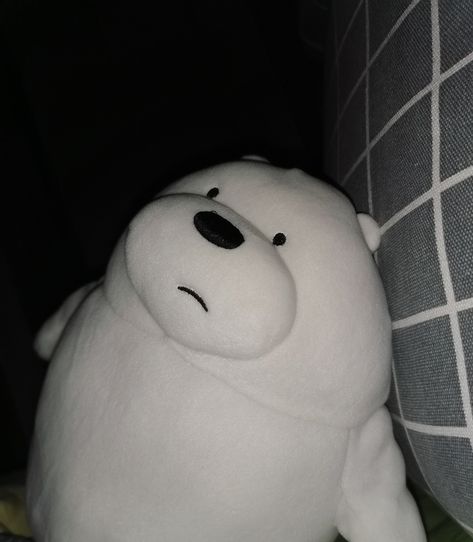 Polar Bear Plushie Aesthetic, Ice Bear Plushie Aesthetic, Ice Bear Stuff Toy, We Bare Bears Stuff Toy, Ice Bear Plushie, Plushies Pfp, Ice Bear Aesthetic, Ice Bear Pfp, Pfp Bear