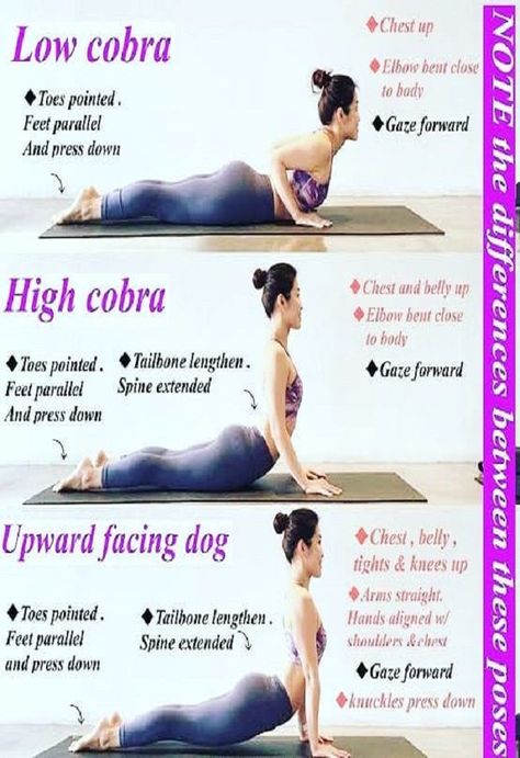 How to do better of cobra pose? Credit: @swaminiyog Our blog post gives more benefits about our cobra post.Worth looking into. #yoga #cobra #pose #right #way #to-do #how-to #better #exercise #fitness #benefits Block Exercises, Hata Yoga, Upward Dog, Yoga Nature, Upward Facing Dog, Body Transformations, Latihan Yoga, Yoga Beginners, Cobra Pose