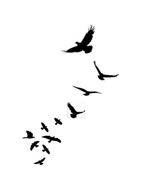 Bird Silhouette Tattoos, Bird Tattoo Men, Vogel Tattoo, Black Bird Tattoo, Flying Bird Tattoo, Tattoo Bird, Free Tattoo Designs, Tattoo Trend, Silhouette Tattoos