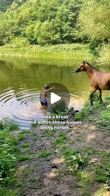 Horse Love Zone 🐎 | Have good day with funny Horse   Cr: Tiktok hxrseditsz ____________ ================== • • • • • #equestrian #equestrianlife #h... | Instagram Happy Animals Funny, Funny Horse Fails, Cute Pictures To Take With Your Horse, Horse Show Quotes, Baby Horses Foals, Horse Memes Funny Hilarious, Funny Horse Pics, Funny Animal Sayings, Funny Horses Videos