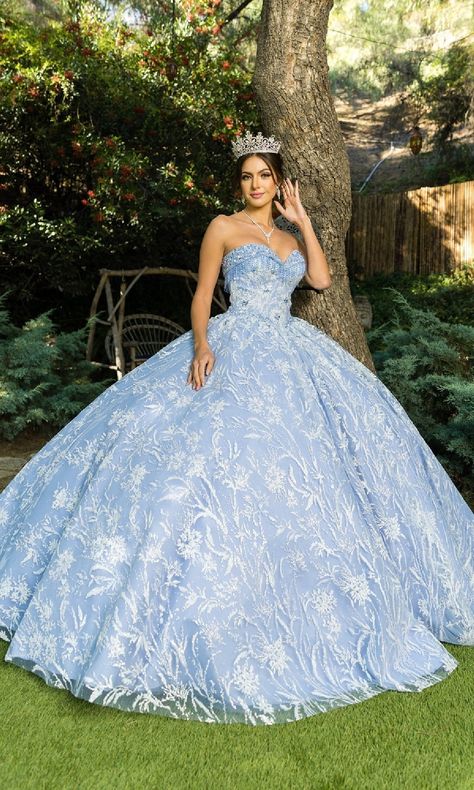 Cinderella quinceanera themes