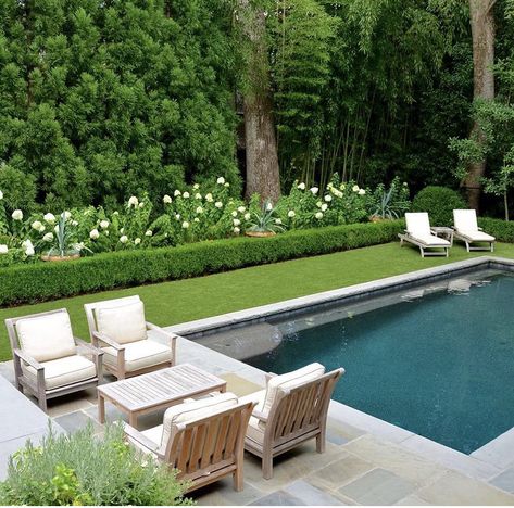 Carex Comans, Evening Cocktails, Pool Deck Ideas, Family Backyard, Pool Landscape Design, Ellen Pompeo, Backyard Pool Landscaping, Vacation House, Dream Pools