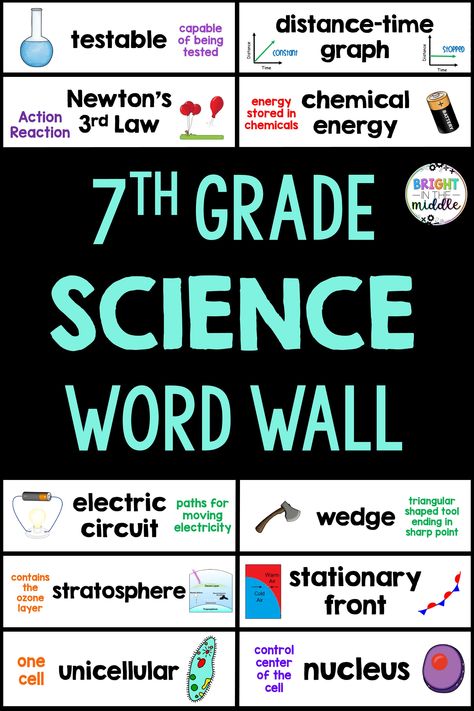 Middle School Science Classroom Setup, Word Wall Middle School, Middle School Science Fair Projects, Science Middle School, Activities Middle School, Scientific Inquiry, Instructional Activities, School Science Experiments, Science Lessons Middle School