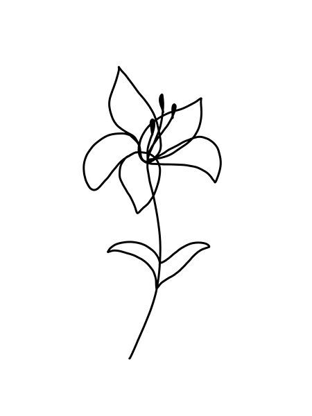 Minimalist Lily by lilyconstantino | Redbubble Minimalist Lily Tattoo Design, A Lily Tattoo, Minimalist Tattoo Lily Flower, Small Tattoos Lily Flower, Minimalistic Lily Tattoo, Lily Flower Doodle, Lily Flower Tattoos Minimalist, Lily Flower Outline Tattoo, Lily Doodle Simple