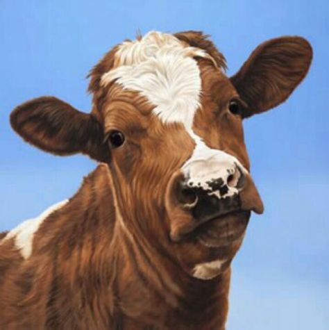 I know you won't believe it but it's a painting Cow Snap, Cow Riding, Funny Rap, Brown And White Cow, Guernsey Cow, Sweet Cow, Cow Photos, Happy Cow, The Barnyard