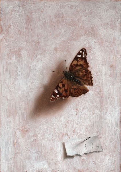 Animal Still Life, Life Of A Butterfly, Butterfly Paintings, Painting Butterfly, Oil Painting Inspiration, Still Life Paintings, Expressionist Art, Butterfly Painting, Still Life Art