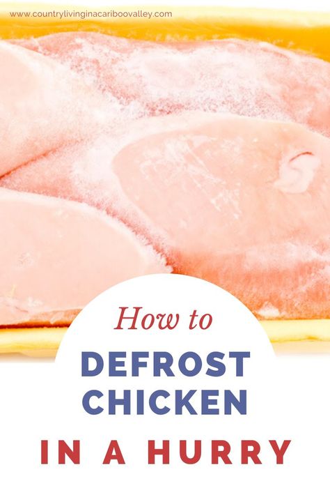 Defrost Chicken Instant Pot, Dinner Recipes Frozen Chicken, How To Dethaw Frozen Chicken Fast, Thawing Chicken Quickly, What To Make With Frozen Chicken, How To Thaw Chicken Quickly, How To Defrost Chicken Quickly, Frozen Chicken Oven, Frozen Meat Recipes