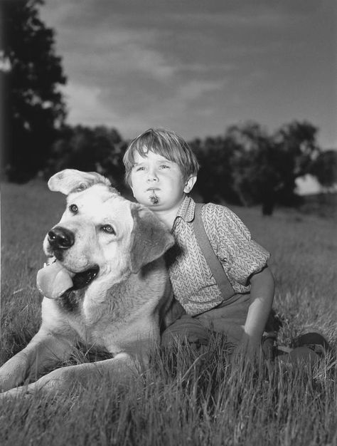 Kevin Corcoran in Old Yeller! Baby Boomers Memories, Old Yeller, Dog Movies, Driving Home, Famous Dogs, Wonder Years, Disney Favorites, Dogs For Sale, Movie Gifs