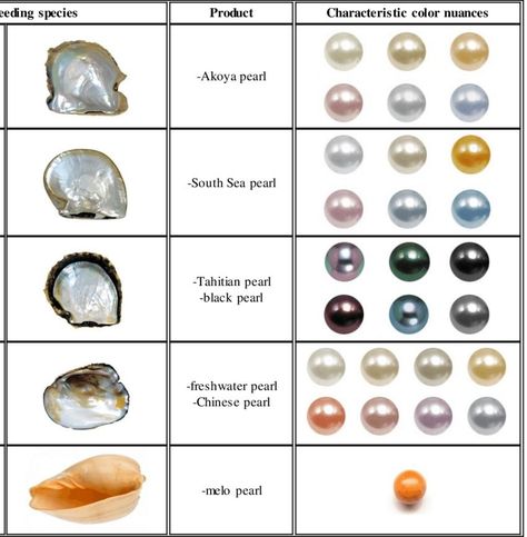 Types Of Pearls, Gemstones Chart, Jewelry Knowledge, Jewelry Education, Pearl Stone, Minerals And Gemstones, Tahitian Pearls, Gems And Minerals, Pearl Color