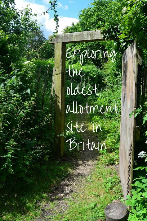 Visiting the unique heritage site, St Anns allotments in Nottingham - the oldest allotments in the Britain, possibly the world! Allotment Ideas Inspiration, Allotment Plan, Allotment Shed, Allotment Gardening, Flower Bed Ideas, A Thought, Garden Tours, Diy Garden Projects, Community Gardening