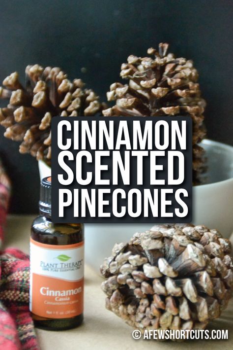 Help your house smell like the holidays and make these quick and easy DIY Cinnamon Scented Pinecones!  They are so easy to make with essential oils! Cinnamon Scented Pinecones, Diy Cinnamon, Scented Pinecones, Pine Cone Art, Christmas Pine Cones, Diy Pinecone, Pine Cone Decorations, Cones Crafts, Pine Cone Crafts