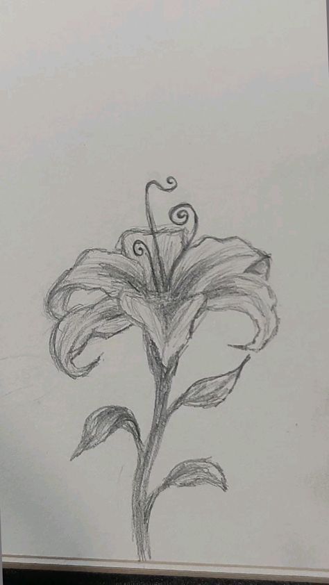 Landscape Art Pencil Sketch, Aphrodite Drawing Sketch, East Sketches, Tangled Flower Painting, Drawing Sketches Flowers, Sketchbook Ideas Flowers, Flower Pencil Sketches, Flower Sketches Easy, Rapunzel Flower Drawing