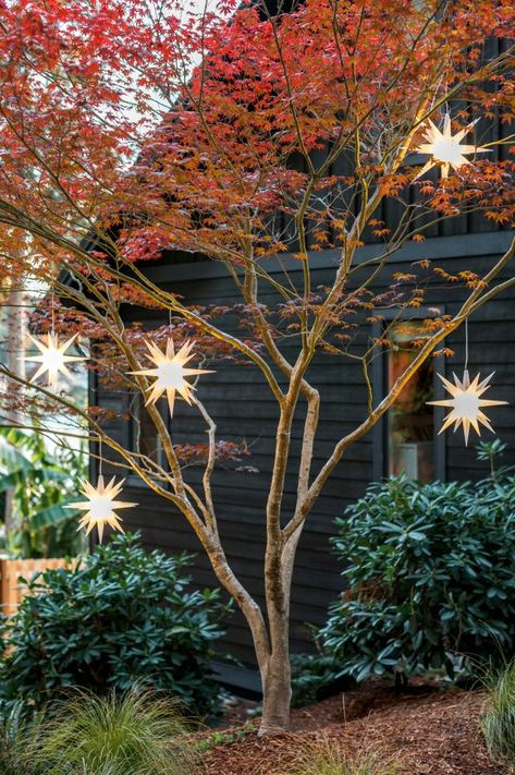 44 Outdoor Christmas Lights Ideas | HGTV Exterior Christmas Lights, Christmas Lights Outside, Christmas House Lights, Christmas Front Porch, Christmas Classic, Xmas Lights, Outdoor Holidays, Front Porch Christmas Decor, Christmas Inspo