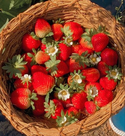 Red Cottage Core Aesthetic, Cottagecore Aesthetic Strawberry, Cottagecore Strawberry Aesthetic, Strawberry Bush Aesthetic, Ruby Core Aesthetics, Manzanas Aesthetic, Tallulah Core, Strawberry Cottagecore Aesthetic, Red Cottagecore Aesthetic