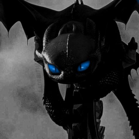 Httyd Pfp Aesthetic, Nightfury Fanart, Toothless Dragon Wallpapers, Female Night Fury, Dragon Night Fury, Toothless Wallpaper, Tiger Spirit Animal, Night Fury Dragon, Fandom Drawing