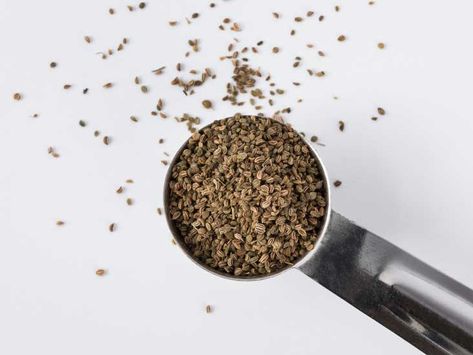 6 Surprising Benefits of Celery Seeds Celery Seed Recipes, Celery Seed Benefits, Antioxidant Foods, Seed Benefits, Celery Plant, Seeds Benefits, Post Workout Smoothie, Workout Smoothies, Plants Growing