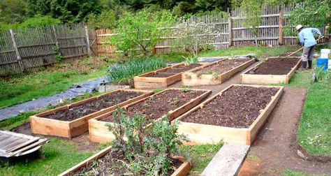 Build A Raised Garden Bed, Kebun Herbal, Diy Garden Landscaping, Taman Diy, Jardim Diy, Building Raised Garden Beds, Vegetable Garden Raised Beds, Building A Raised Garden, Sloped Garden