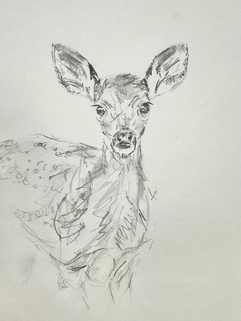 Original pencil drawing print of baby deer. Minimalist, vintage nursery art. Sketching Of Animals, Vintage Pencil Drawings, Christmas Themed Drawings, Deer Sketch Simple, Deer Drawing Simple, Deer Drawing Sketches, Drawings Of Deer, Animal Anatomy Drawing, Baby Deer Drawing